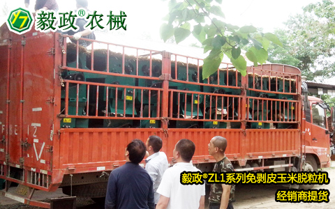 外地客戶來我司提取1車毅政牌ZL1D型電機(jī)式免剝皮玉米脫粒機(jī)